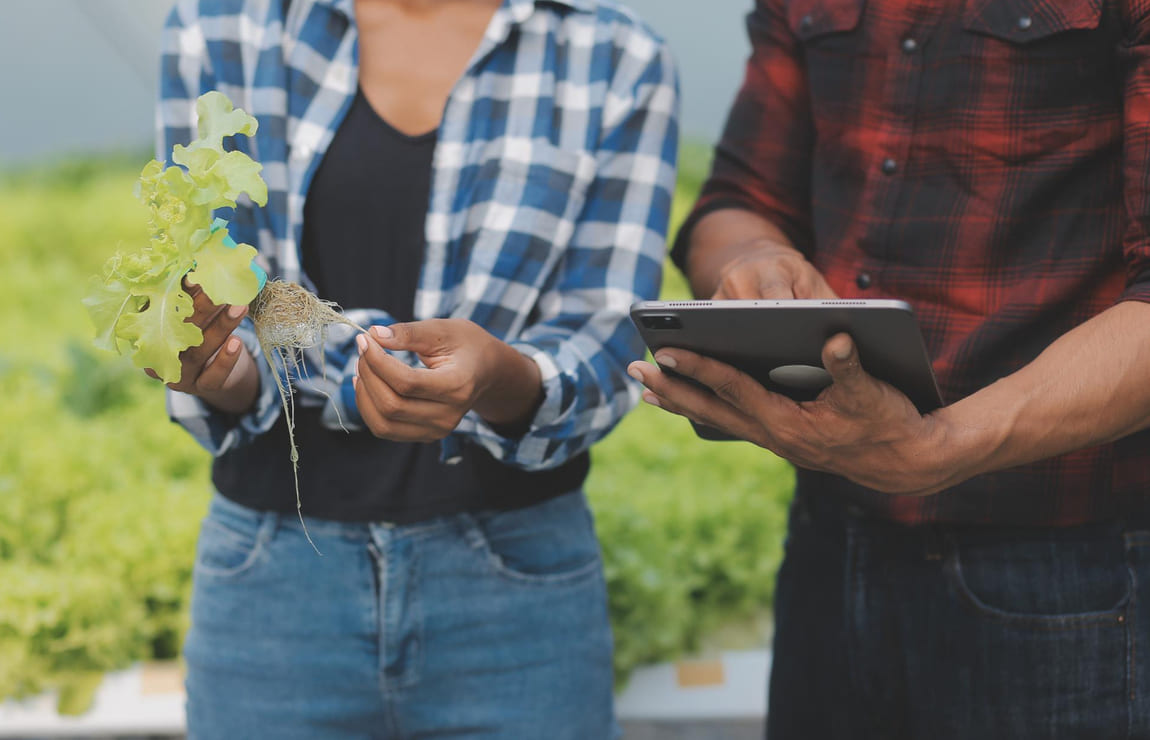 10 startups do Agro: conheça as principais