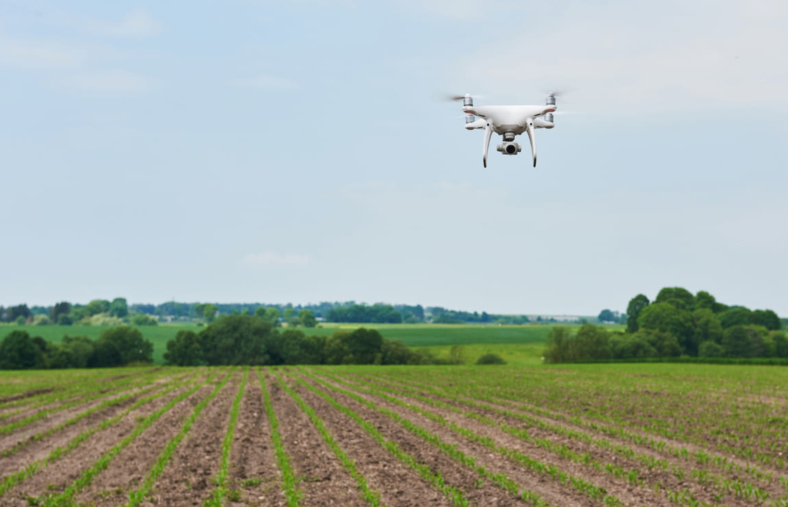 Agricultura de precisão: o que é?