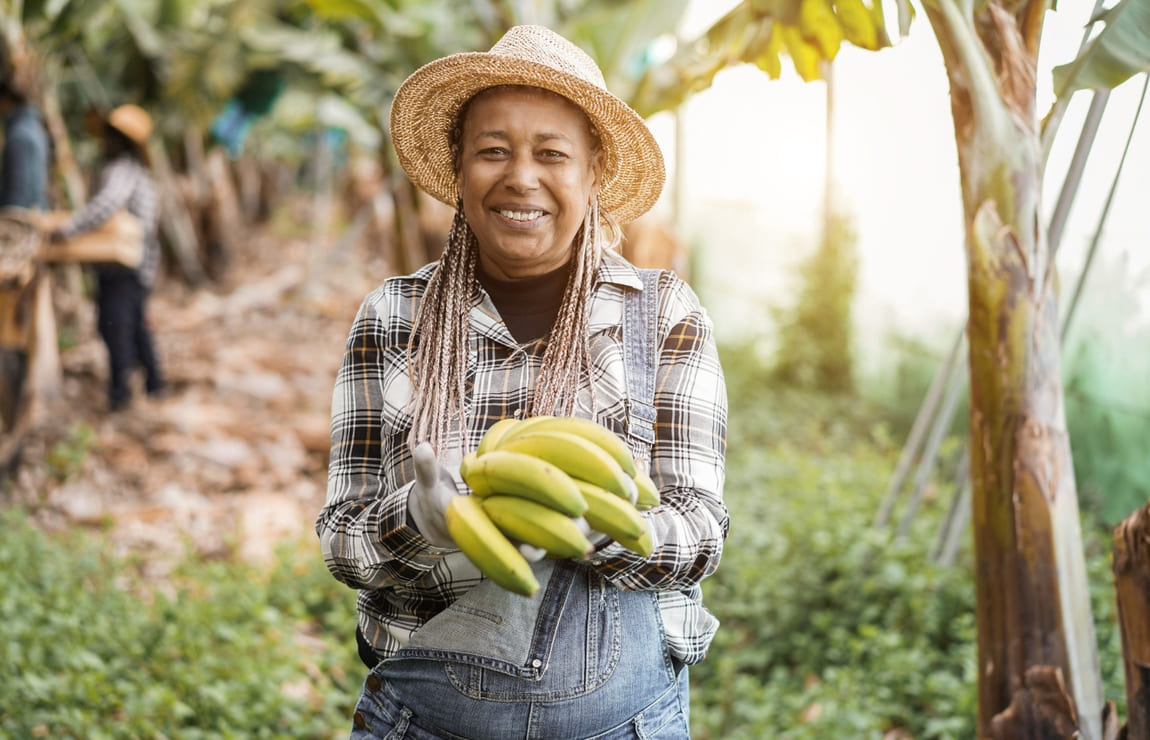 Agricultura no Rio de Janeiro: como funciona?