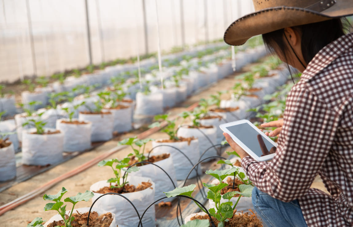 Agritechs: o que é?