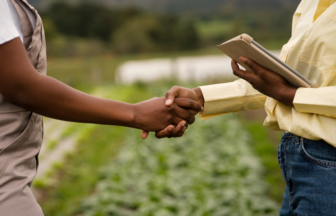 Agronegócio: o que é e qual a importância para o Brasil?