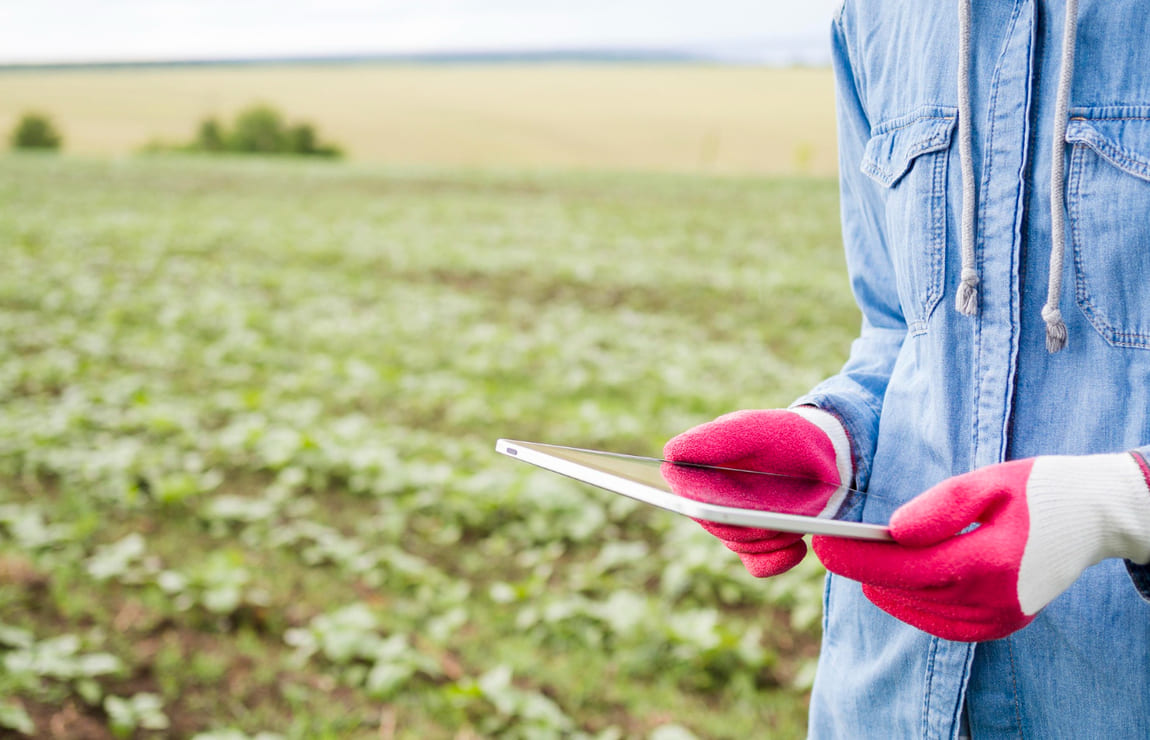 Big Data no Agronegócio: qual a importância?