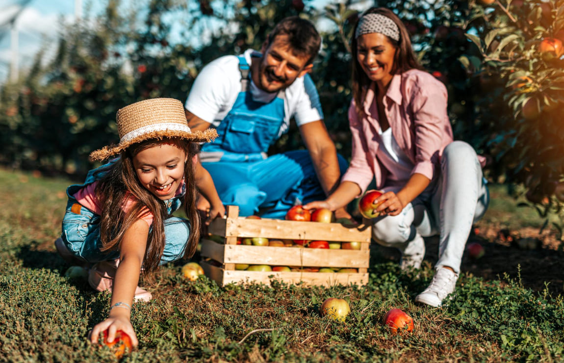 Dia do Agricultor: frases para celebrar a data