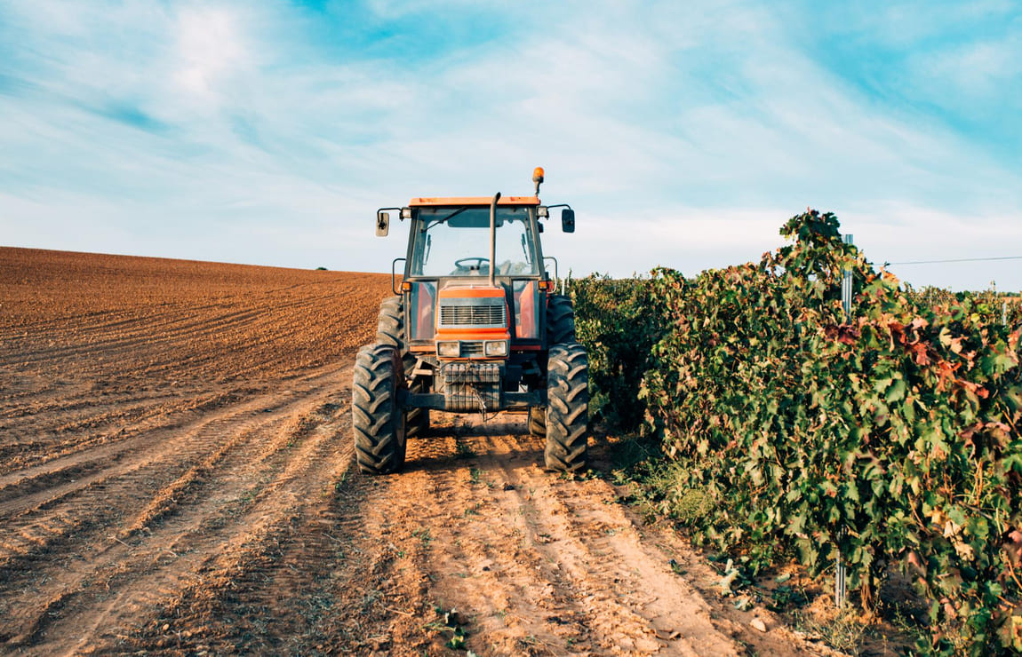 Embrapa: qual é a importância?
