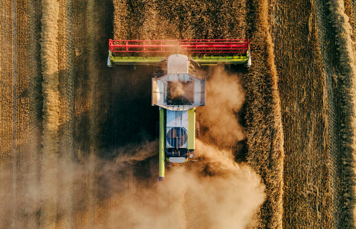 Qual é a importância do agronegócio para o Brasil?