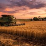 Seguro de máquinas agrícolas: coberturas e custo